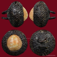 เบี้ยแก้หลวงพ่อภักดิ์ วัดโบสถ์