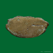 พระกริ่งลพ.จาด วัดบางหอย พิมพ์กลางบัวเก้าคู่ (นิยม และหายาก)