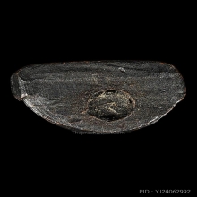 พระชัยวัฒน์จอมทอง เจ้าคุณผล วัดหนัง ปี2506