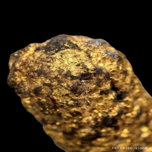 ตะกรุดหนังหน้าผากเสือ หลวงพ่อเต๋ วัดสามง่าม จ.นครปฐม