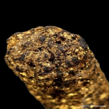 ตะกรุดหนังหน้าผากเสือ หลวงพ่อเต๋ วัดสามง่าม จ.นครปฐม