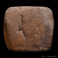 ปลาหมอ (เสือ) หลวงพ่อปาน วัดบางนมโค 