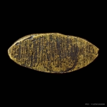 พระชัยวัฒน์ วัดชนะสงคราม