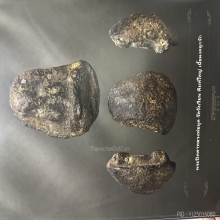 พระปิดตาหลวงพ่อผุด วัดวังเวียน พิมพ์ใหญ่ ดีกรีที่3งานสามพราน