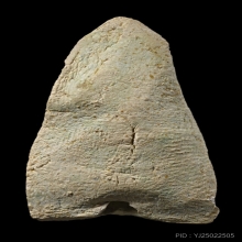 หลวงปู่ทวด พิมพ์ใหญ่ เนื้อขาวอมเขียว นิยมสุด วัดประสาทฯ