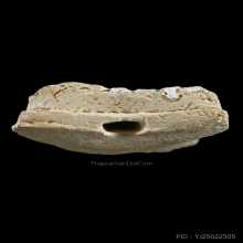 หลวงปู่ทวด พิมพ์ใหญ่ เนื้อขาวอมเขียว นิยมสุด วัดประสาทฯ