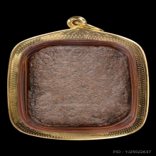 หลวงพ่อปาน เม่นบัวเจ็ดจุด (เม่นอ้วน)