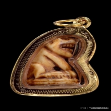 เสือหลวงพ่อสาย วัดคลองด่าน จ.สมุทรปราการ