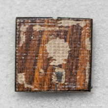 รูป หลวงปู่ชา วัดหนองป่าพง