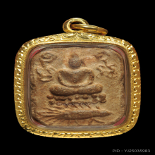 เม่นแปดจุด หลวงพ่อปานวัดบางนมโค