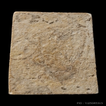 +บัตรสมาคม สมเด็จพิมพ์ปรกโพธิ์ หลวงปู่ลำภู กรุต้นโพธิ์