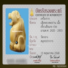 เขี้ยวเสือหลวงพ่อปาน วัดบางเหี้ย ศิลป์วัดกลาง ยุคต้น