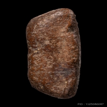 +บัตรรับรอง หลวงพ่อโต กรุบางกระทิง