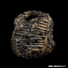 ลูกอมพอกครั่งหลวงพ่อทองสุข วัดโตนดหลวง ปี2500