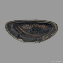 พระปฐมเทศนาพระอ.ไสว สุมโน