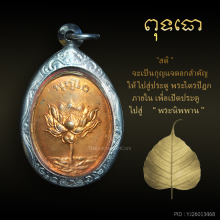 เหรียญดอกบัวบาน 