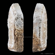 พระหลวงปู่ภู วัดอินทร์ พิมพ์อุ้มบาตร+บัตรรับรอง