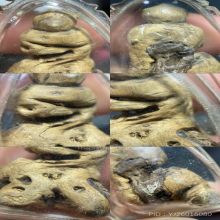 องคตหลวงพ่อปาน วัดบางกระสอบ จ.สมุทรปราการ