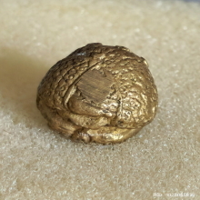 ลูกอมพระสังกัจจายน์ หลวงพ่อพูล วัดไผ่ล้อม ปี 47