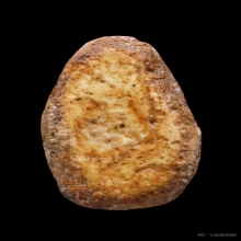 พระวัดพลับ พิมพ์สมาธิเล็ก