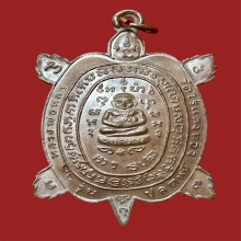 พญาเต่าเรือนหลวงปู่หลิว ปลดหนี้ เนื้อทองแดง