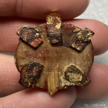 พญาเต่าไม้ม่วงคำ ครูบาชัยวงศาพัฒนา วัดพระพุทธบาทห้วยต้ม