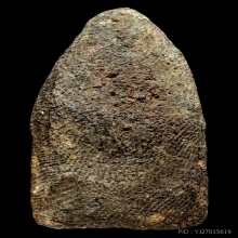 หลวงปู่ทวดเนื้อว่าน