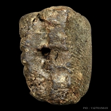 หลวงปู่ทวดเนื้อว่าน