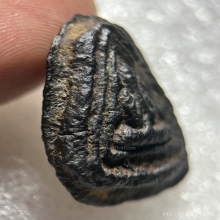 พระปิดตาหลวงพ่อผุด วัดวังเวียน พิมพ์มีซุ้ม 