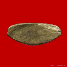 หลวงพ่อเงิน ปี 2515 วัดท้ายน้ำ