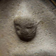 พระสรรค์หลวงพ่อกวย วัดบ้านแค [เนื้อแหวกม่าน]