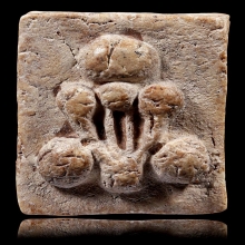 ปิดตาผงกระดูกผี วัดโพธิ์ ยุคต้น แก่ว่าน