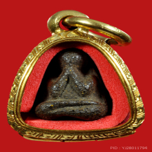 ปิดตาแข้งซ้อน