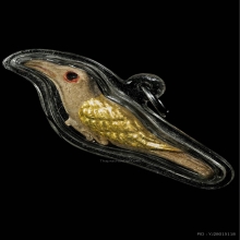 นกสาริกา พระอาจารย์เต็ก วัดโสธรนิมิตต์ สมุทรปราการ