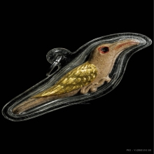 นกสาริกา พระอาจารย์เต็ก วัดโสธรนิมิตต์ สมุทรปราการ