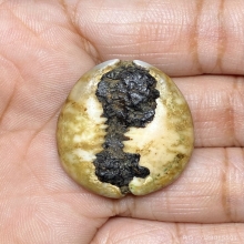 เบี้ยแก้ หลวงพ่อนุ่ม วัดนางใน