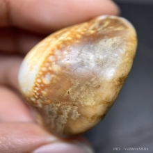 เบี้ยแก้ หลวงพ่อนุ่ม วัดนางใน