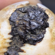 เบี้ยแก้ หลวงพ่อนุ่ม วัดนางใน