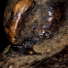 นางกวักหลวงปู่บุญ วัดกลางบางแก้ว จ.นครปฐม