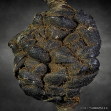 พิรอดหลวงปู่ยิ้ม วัดหนองบัว จ.กาญจนบุรี