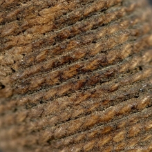 ตะกรุดหลวงพ่อทบ