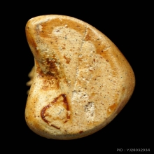 พระปิดตานมควาย พิมพ์ใหญ่ พ่อท่านมุ่ย วัดป่าระกำเหนือ