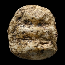 พระวัดพลับพิมพ์พุงป่องใหญ่