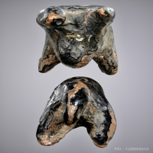 วัวธนูหลวงพ่อน้อย