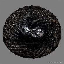 เบี้ยแก้ หลวงปู่เจือ วัดกลางบางแก้ว