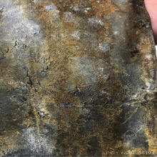 ตะกรุดคู่ชีวิตหลวงพ่อพิธ