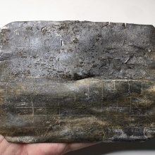 ตะกรุดคู่ชีวิตหลวงพ่อพิธ