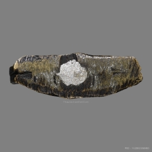 กรมหลวงชินวรสิริวัฒน์ วัดราชบพิธฯ ปี2481