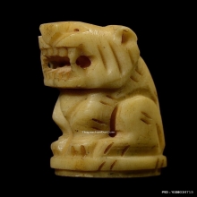 เสืองาแกะหลวงพ่อเปิ่น วัดบางพระ จ.นครปฐม