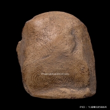 พระคง ลำพูน